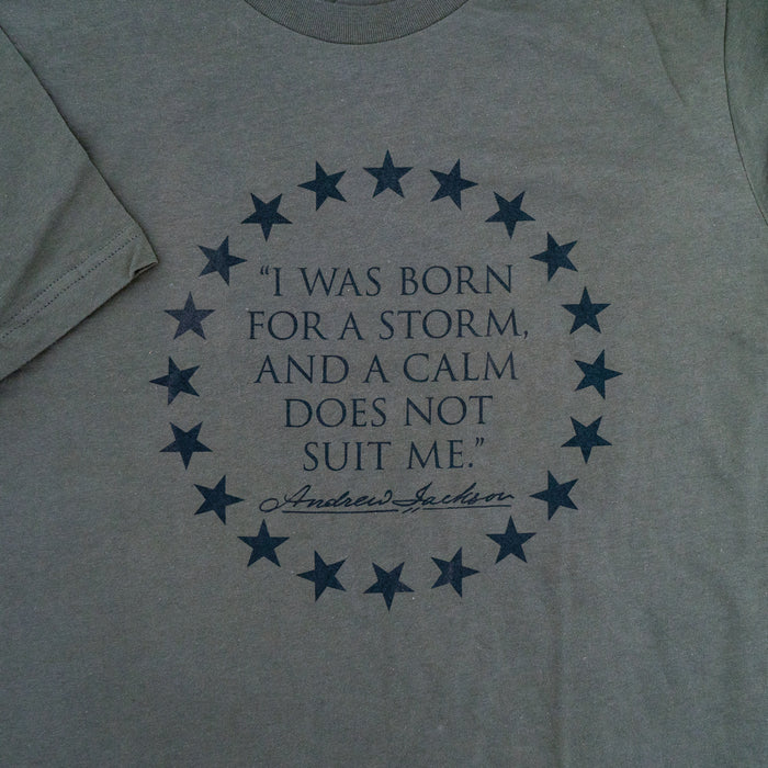 I Was Born For A Storm T-Shirt