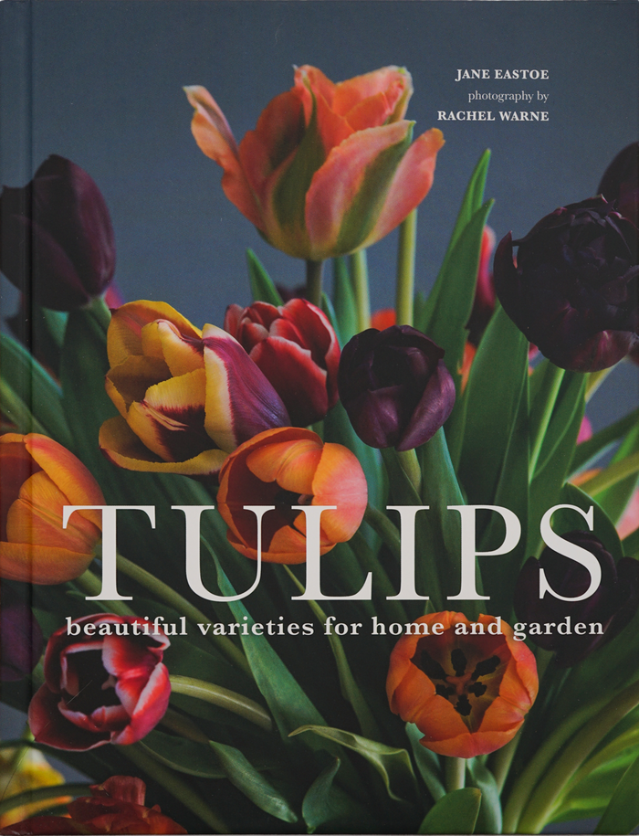 Tulips by Jane Eastoe